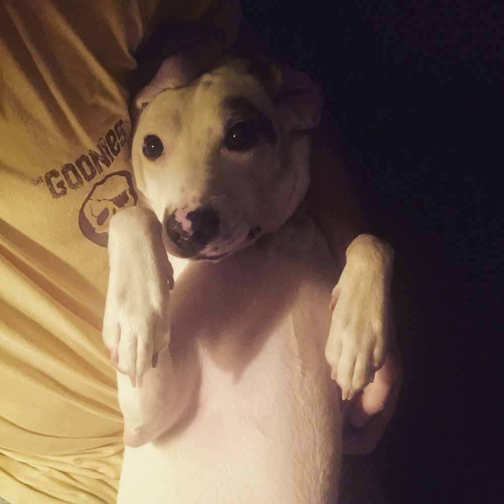 Meet your Posher, Rosseane